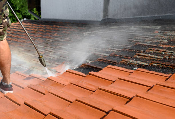 Local Pressure Washing Services in Bridgeview, IL